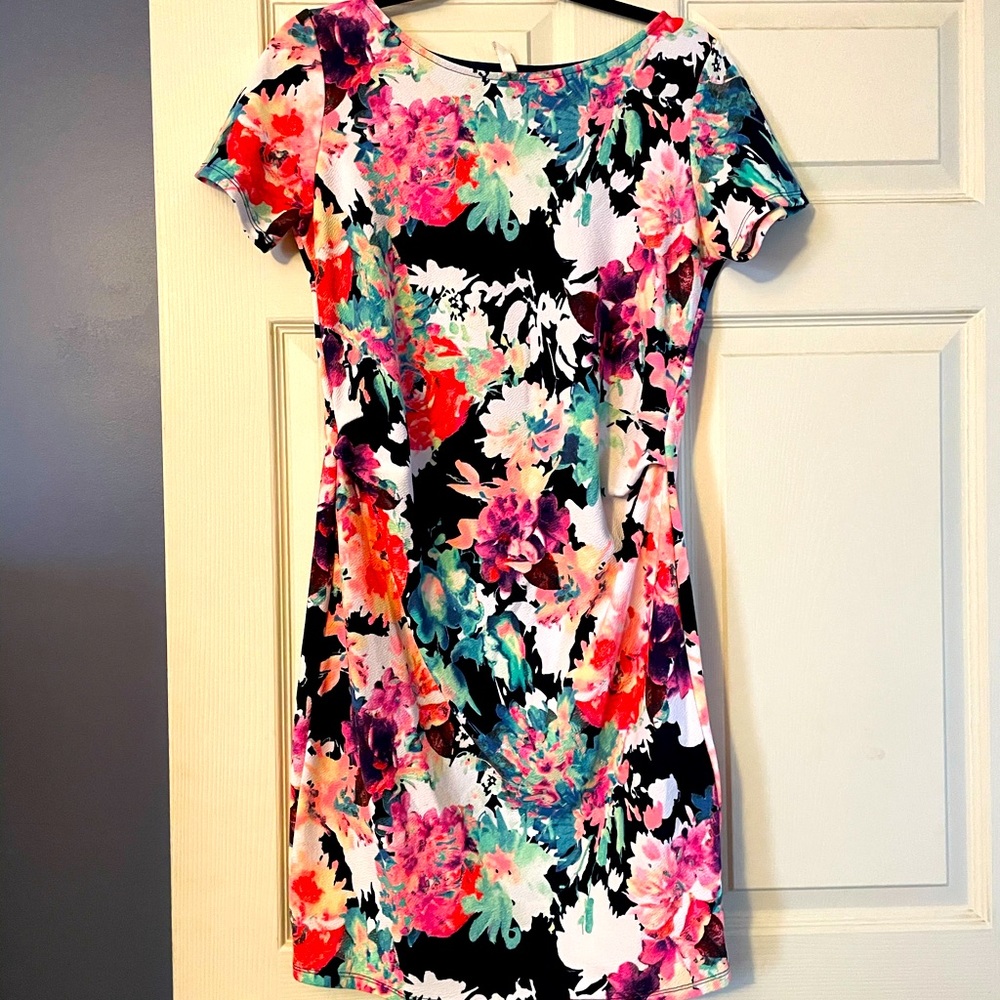 Pinkblush Maternity Dress